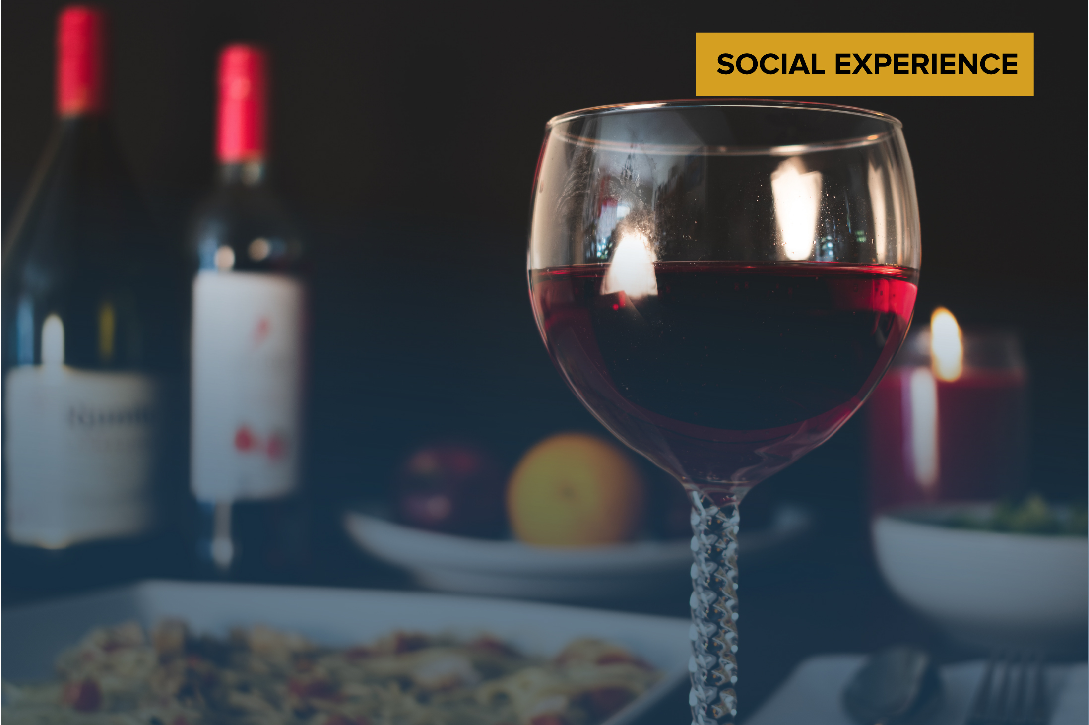 Wine Society - Food & Wine Pairing